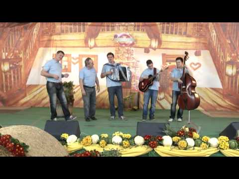 ANSAMBEL DOLENJSKI ZVOKI   ZGODBE