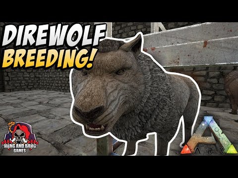 Ark: Survival Evolved | Ragnarok Taming A Dire Wolf and Breeding Dire Wolves