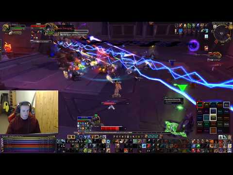 Ra-den der Entweihte Normal BM Hunter PoV by Pantheropis