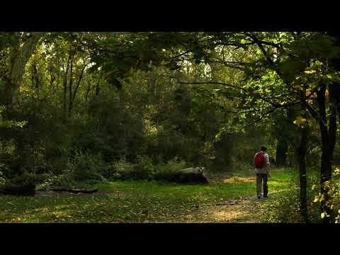 Blaze On - Jungle, Ragga DnB and DnB Mix