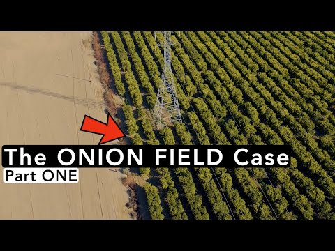 The ONION FIELD Case PART ONE