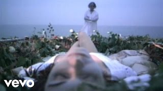 Manic Street Preachers - Roses In The Hospital (Video)