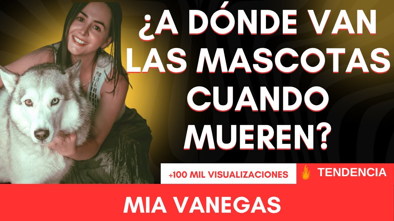 EXISTE EL MÁS ALLÁ PARA LAS MASCOTAS ?