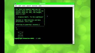 How to Install Programs on Linux Via Terminal