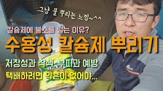 약흔 없는 수용성칼슘제 뿌리는 이유 칼슘제에 붕소를 넣는 이유 비가림감귤 하례조생