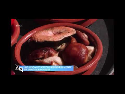 Los arroces de Fuenteplateada - Collado Hermoso (Segovia)