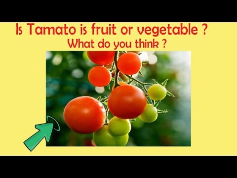 Is Tomato is fruit or vegetable ? | Most brilliant IAS Interview Questions
