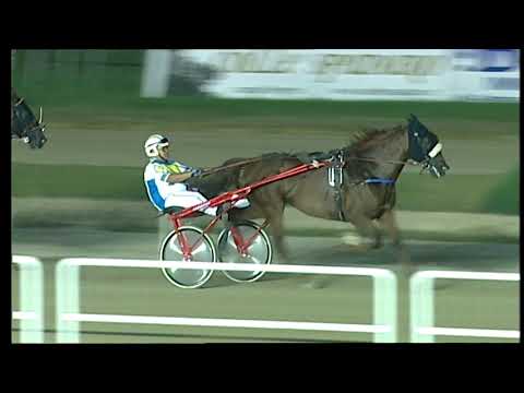 Napoli Trotto 30/07/2021 - 4ª corsa