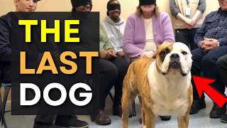 When Dogs Choose No One… 😭 Until This Moment Melts Your Heart ❤️🐶