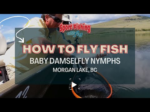 FLY FISHING: BABY DAMSELFLY NYMPHS