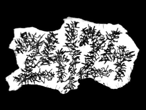 24/24-Hétfö(Freakend Feszt Kiskunhalas 2025)