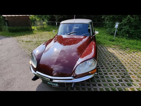 Die Göttin Citroen DS20  - Lackaufbereitung & LZ730 Versiegelung