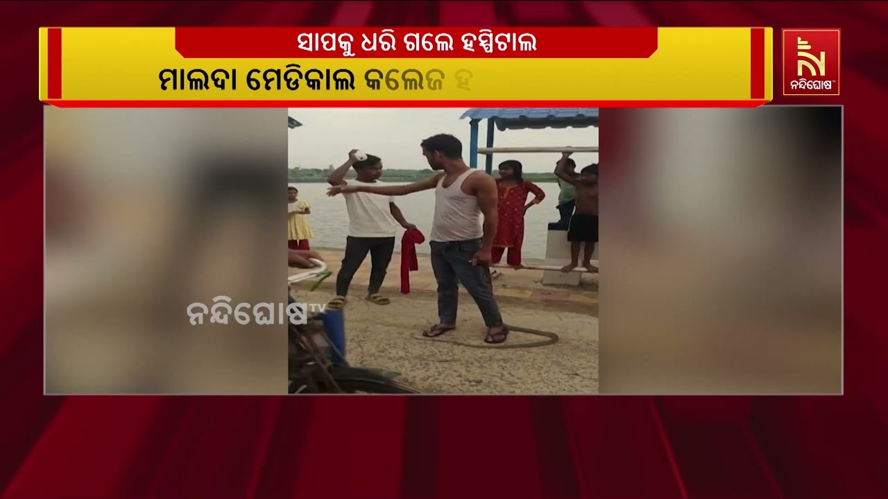କାମୁଡ଼ିଦେଲା ବିଷଧର ସାପ। ଯୁବକଜଣକ ସାପକୁ କାମୁଡ଼ିବା ସହ ସ?