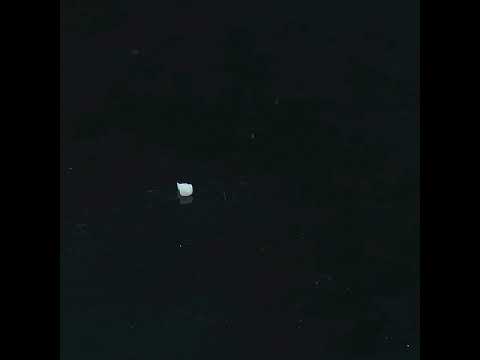 YouTube 썸네일