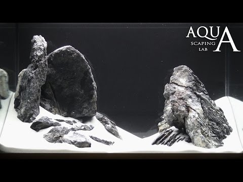 Aquascaping Lab - Tutorial Iwagumi Rocks Aquarium "Winter Snowy Mountains " (61 x 30 x 44 h 70L)