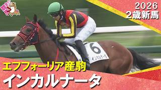 新種牡馬エフフォーリア産駒のインカルナータが初陣飾る！坂井騎手「非常に性格のいい馬で上手に走ってくれました」2026年6月14日(日)２歳新馬　阪神芝1800m　実況：岡安譲【カンテレ公式】