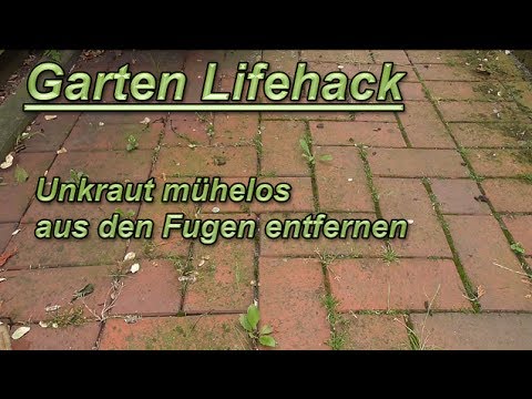 Gartentipp: Unkraut & Moos leicht aus Fugen entfernen ohne Bücken – Pflasterfugen reinigen Lifehack