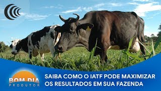 Miniatura do vídeo