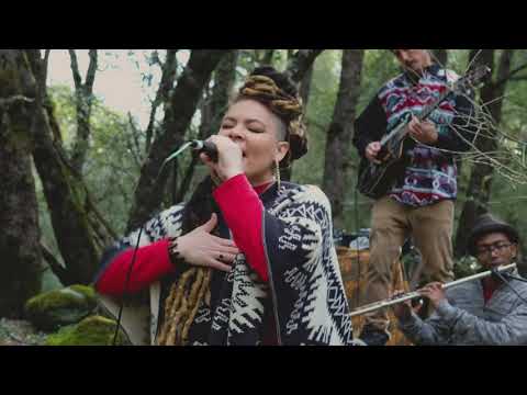 Audiopharmacy Tiny Desk 2022