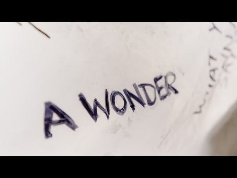 Dennis Cartier - A Wonder (Official Visualizer)