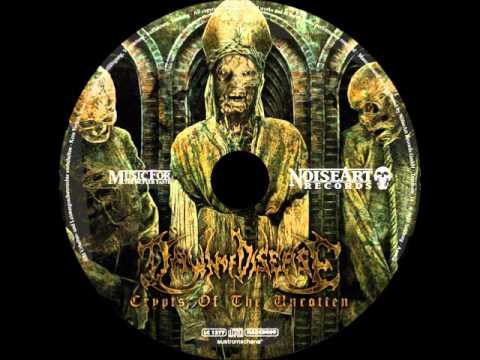 Dawn of Disease - Knife vs Flesh