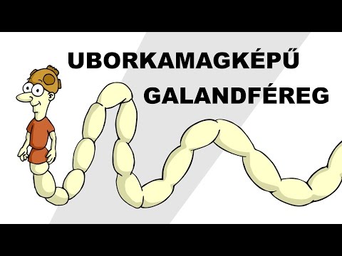 Glicerin kúpok férgek