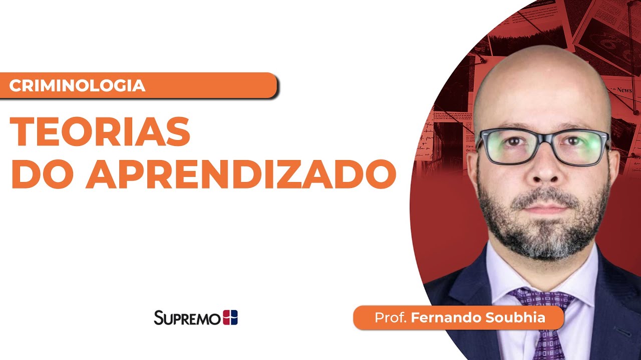 TEORIAS DO APRENDIZADO | Prof. Fernando Soubhia
