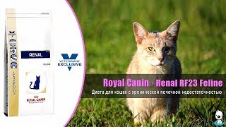 Royal Canin Gastro Intestinal Feline 2 кг (3905020) - відео 3