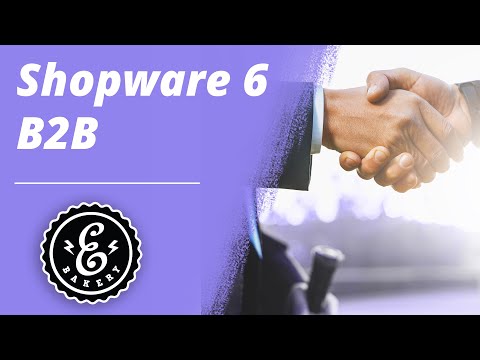 Shopware 6 B2B Suite - Die Lösung für Deinen B2B Onlineshop | Shopware 6 Tutorial