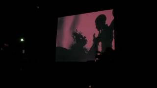 Dungen performing 'Häxan'