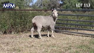 Download lagu Lot 113 mp3 Download lagu Lot 113 mp3