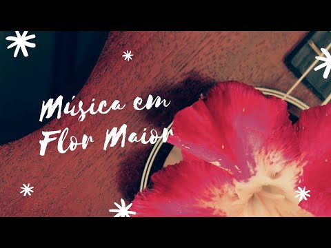 Música Em Flor Maior video