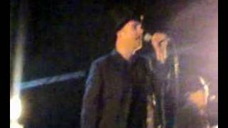 The Good The Bad And The Queen 80s Life