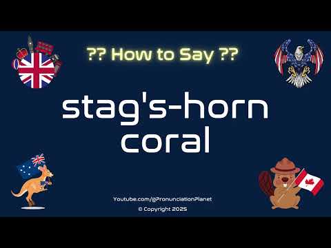 🐚🌊 How to Pronounce stag's-horn coral? (CORRECTLY) | Pronunciation Planet