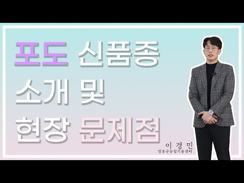, title : '포도 신품종 소개 및 현장 문제점 2편'