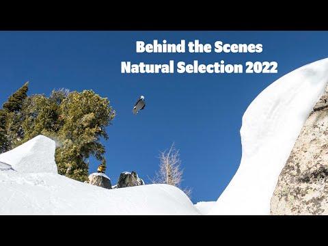 Behind The Scenes Natural Selection 2022