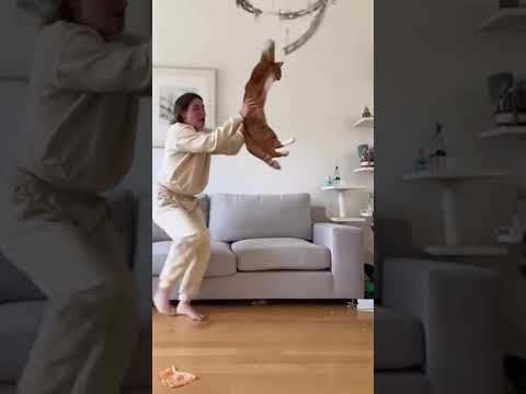 #foryou #funny #funnyhumor #pets