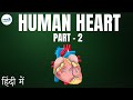 Life Processes Lesson 21 Human Heart Part 2 In Hindi हिंदी में Infinity Learn
