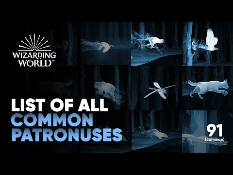 image-What does it mean when your Patronus is a mongrel dog?