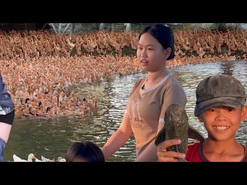 Close-up video of a day in the life of two country girls raising ducks at Family Farm Model " Farm