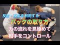 相手の力を利用してバックを取る‼[MMA]