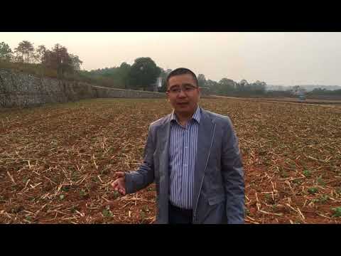 Alternatives to lime for reducing soil acidity