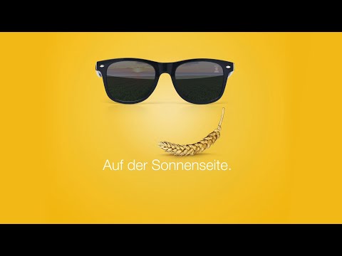 KWS DONOVAN - Auf der Sonnenseite.