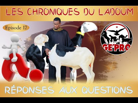 , title : 'Les chroniques du Ladoum : Episode 17'