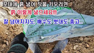 포대에 흙 넣어 작물 키우려면 흙 이렇게 넣으세요. 잘 넘어지지도, 배수도, 뽀대도 좋고...(채소재배, 포…
