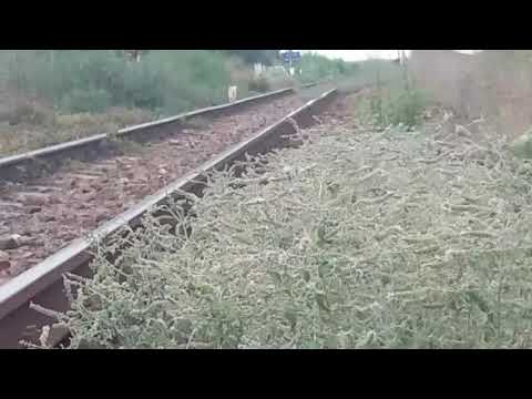 #71- 060 DA 92 53 0 600857-2 cu tren de marfă CFR MARFĂ/21.08.2017