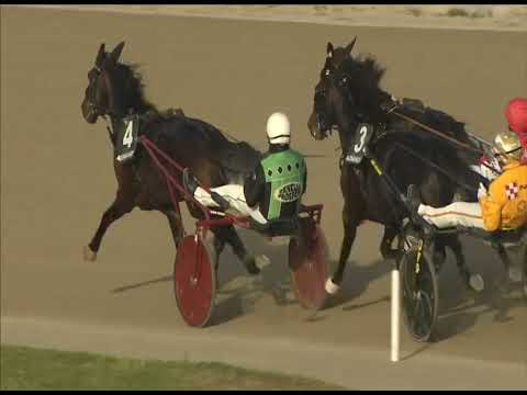 Napoli Trotto 08/12/2022 - 3ª corsa