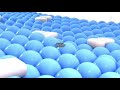 I Accidentally Samsung Logo Balls