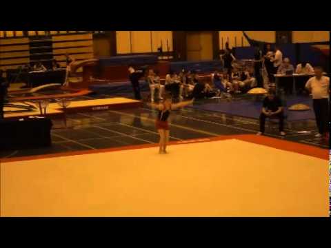Grant Arneil June Scottish Gymnastics MAG Club Development Grade Level 2, 2014