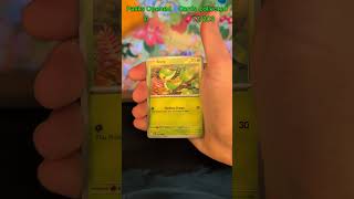 Day 12 Pokemon Perfect Order Master Set